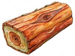 Cedarwood Oil