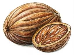 Nutmeg Oil