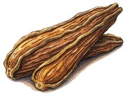 Oud Oil (Agarwood Oil)